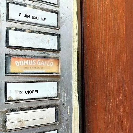 Domus Gallo