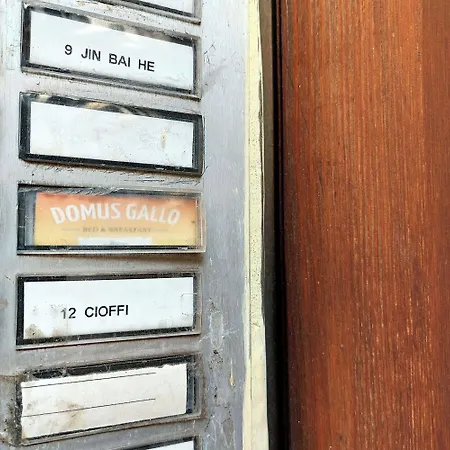 Bed & Breakfast Domus Gallo Rome
